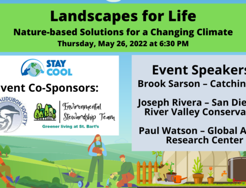 STAY COOL Hosts Webinar on “Nature-based Climate Solutions”